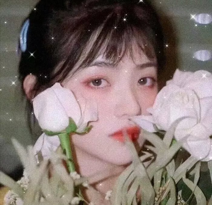班尼的录影带